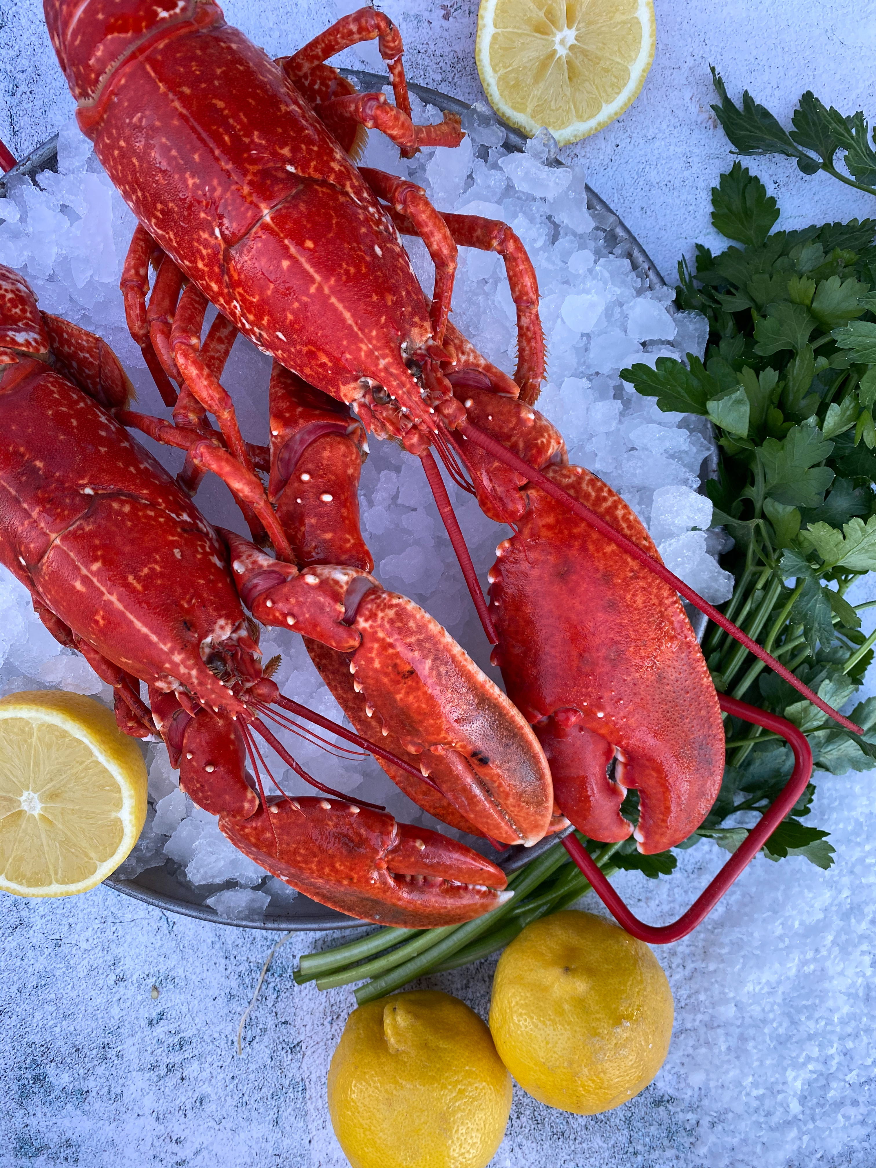 shellfish product page
